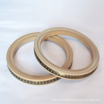 Spring Energized Seals for Cylinder